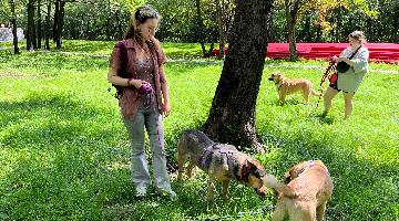 Волонтеры РГГУ в приюте для собак "Дубовая Роща"