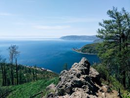 Import Substitution Management in Tourism